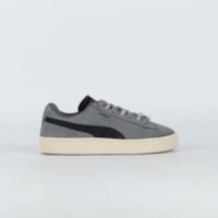 Cool Dark Gray Alpine Snow