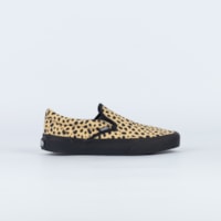 Dalmatian Black